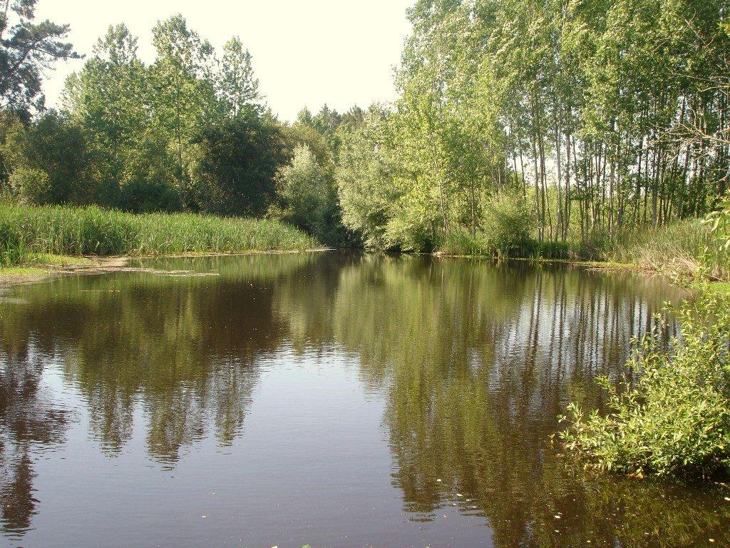 Laguna de Paúl de Ancas